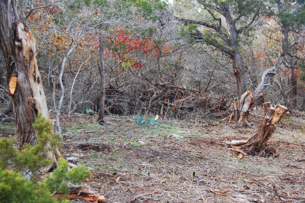 yard2