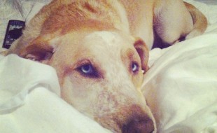 20120903-210556.jpg