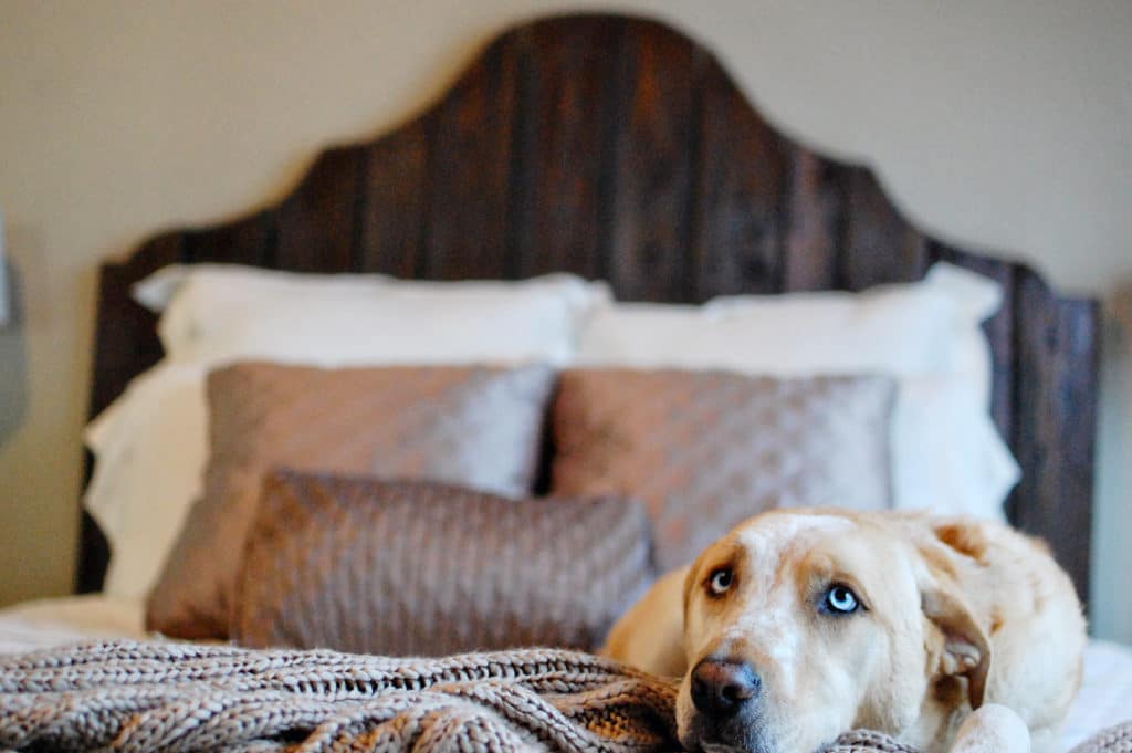 diy queen headboard and bed frame